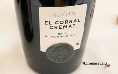 Albet I Noya El Corral Cremat Brut Classic Penedes