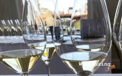 Why you should be drinking more Penedès wine!
