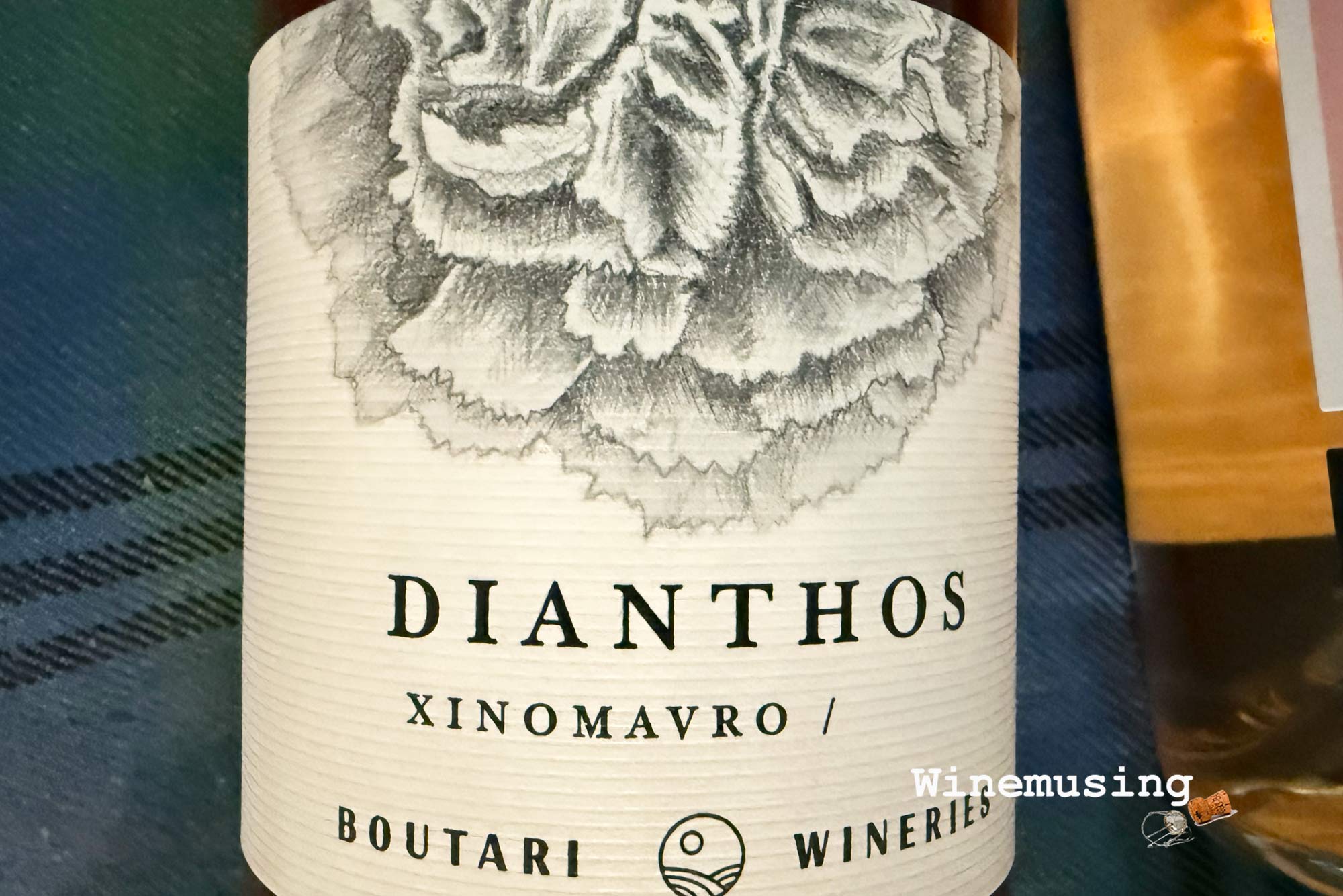 Dianthos Xinomavro Rose
