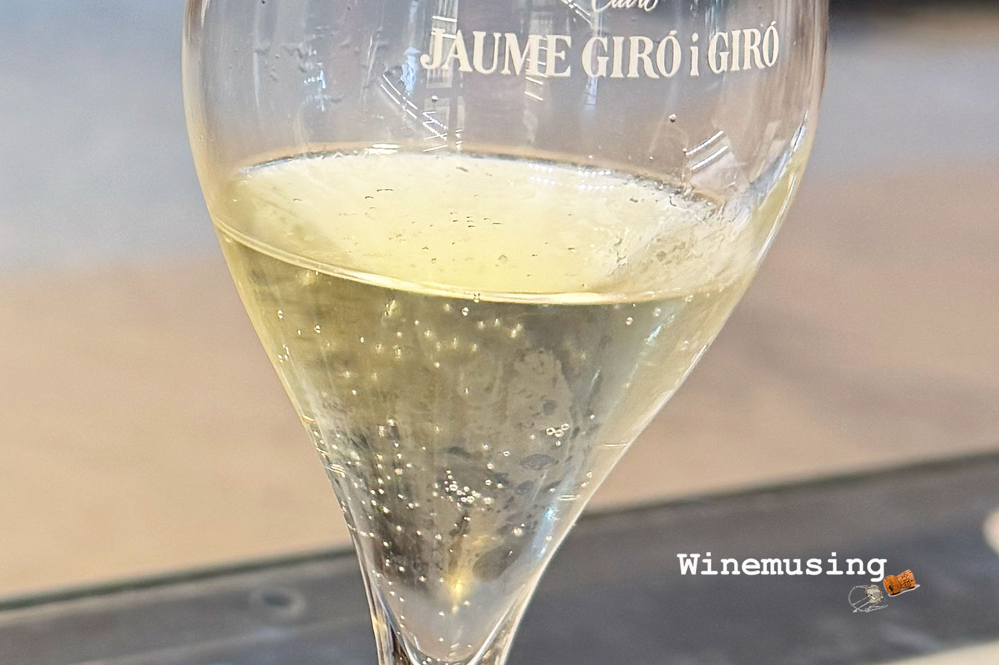 Getting to know Cava Jaume Giro i Giro 